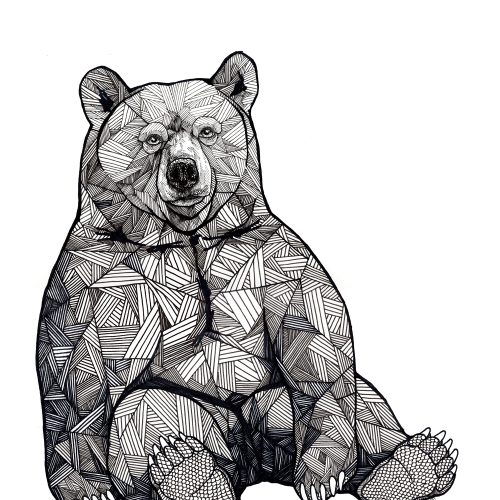 fav bear